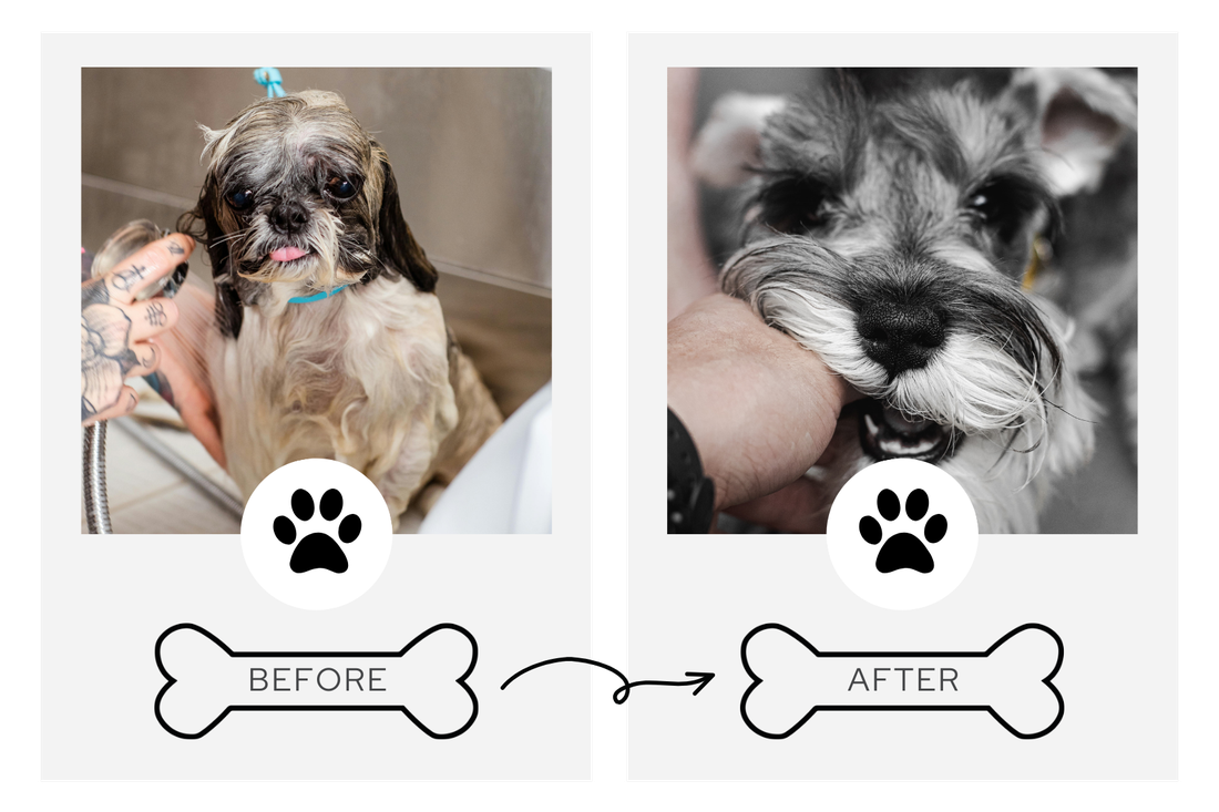 Before and after grooming transformation 3
