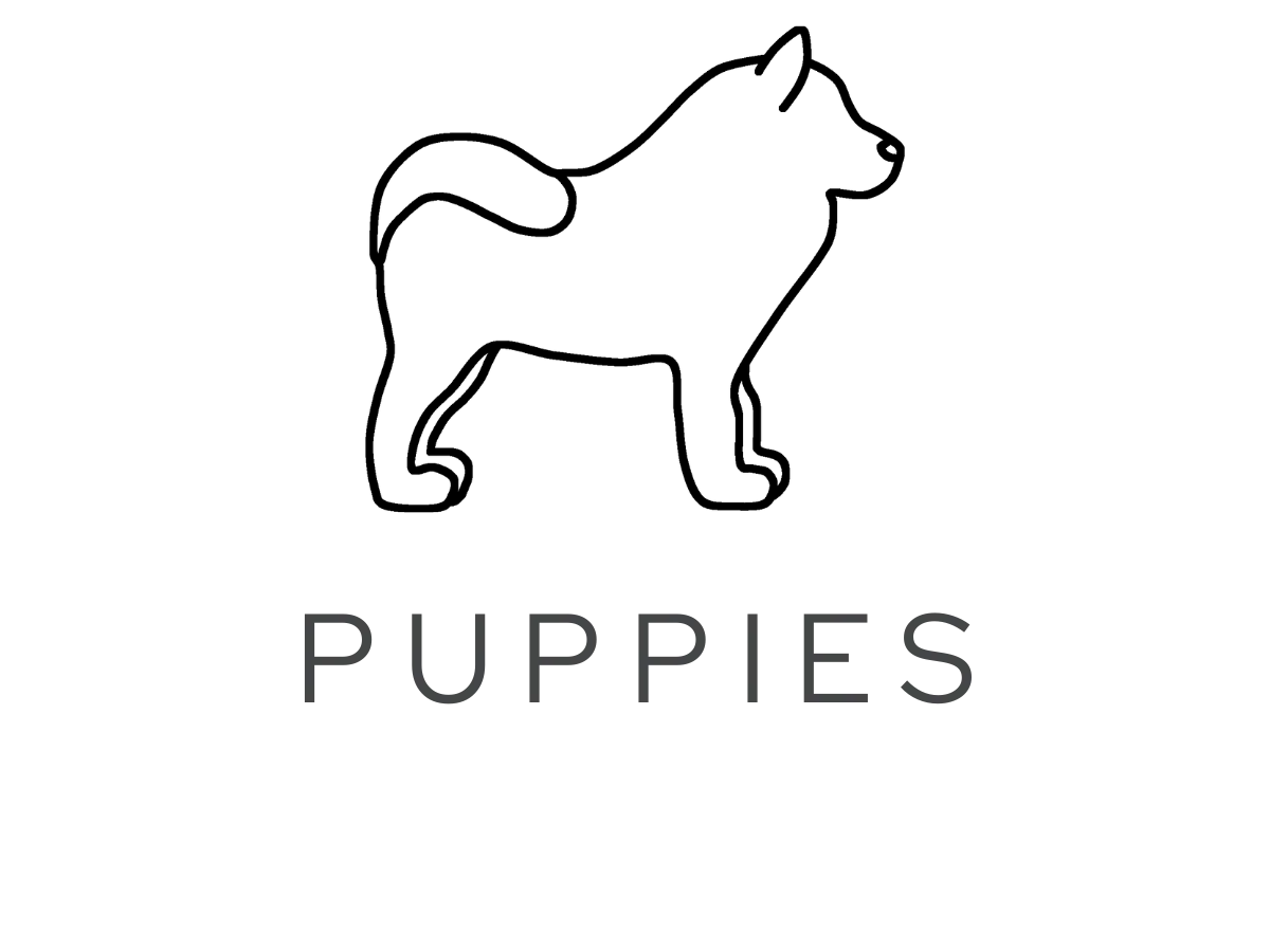 Puppies